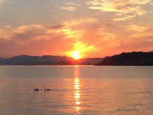【Advent Calendar 2016】非エンジニアは松江市に移住して幸せなのか? 画像